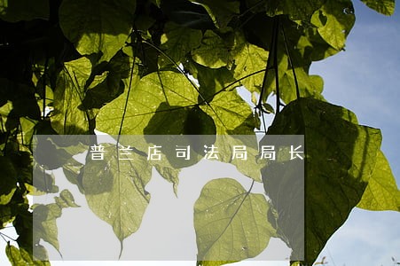 普兰店司法局局长