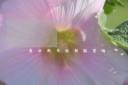 普分期有逾期能贷吗