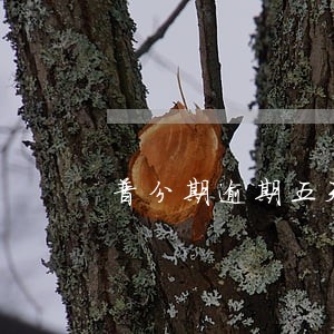 普分期逾期五天
