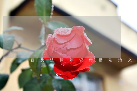 普及法律知识传播法治文明下载 普及法律知识传播法治文明下载