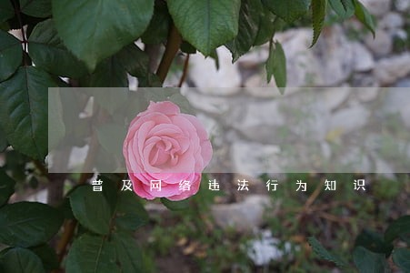 普及网络违法行为知识 普及网络违法行为知识