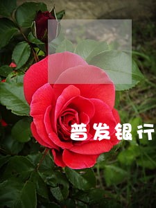 普发银行信用卡逾期两个月了 普发银行信用卡逾期两个月了