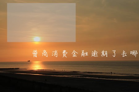 普商消费金融逾期了去哪里还 普商消费金融逾期了去哪里还
