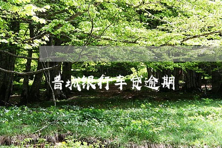 普城银行车贷逾期 普城银行车贷逾期