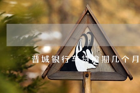 普城银行车贷逾期几个月怎么办 普城银行车贷逾期几个月怎么办