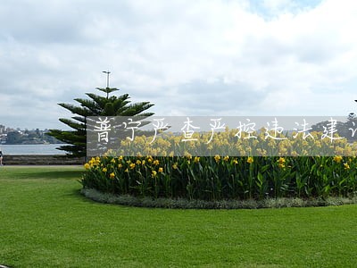 普宁严查严控违法建设 普宁严查严控违法建设