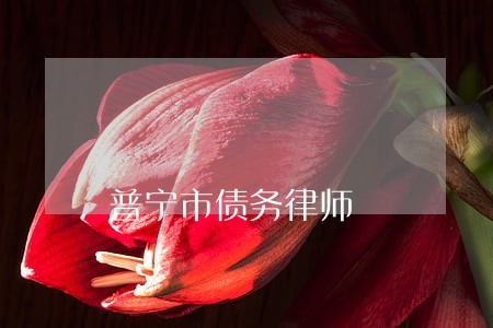 普宁市债务律师 普宁市债务律师