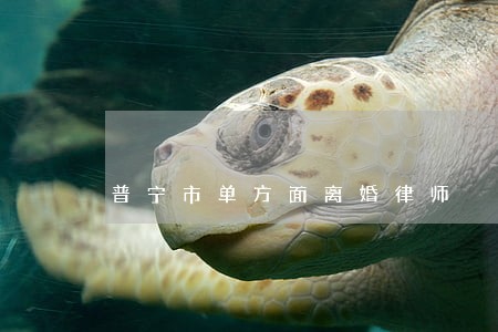普宁市单方面离婚律师 普宁市单方面离婚律师