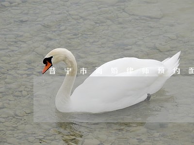 普宁市离婚律师预约面谈