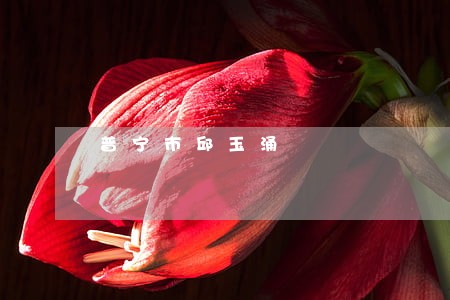 普宁市邱玉涌 普宁市邱玉涌