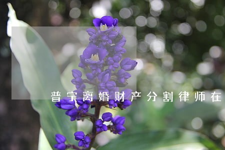 普宁离婚财产分割律师在线咨询 普宁离婚财产分割律师在线咨询