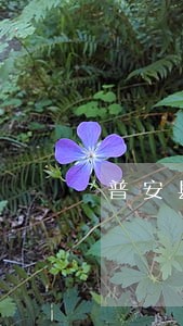 普安县人民法院公开 普安县人民法院公开