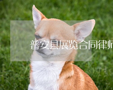 普安县展览合同律师服务热线 普安县展览合同律师服务热线