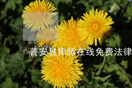 普安县律师在线免费法律咨询 普安县律师在线免费法律咨询