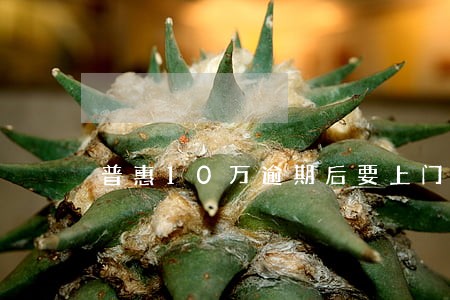 普惠10万逾期后要上门核实 普惠10万逾期后要上门核实