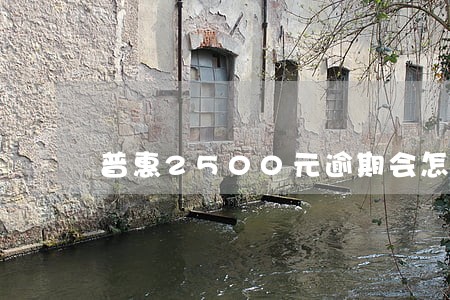 普惠2500元逾期会怎么样 普惠2500元逾期会怎么样