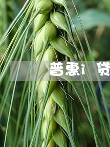 普惠i贷逾期400天 普惠i贷逾期400天