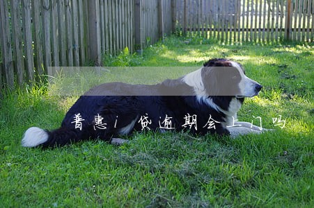 普惠i贷逾期会上门吗 普惠i贷逾期会上门吗