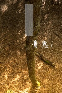 普惠i贷逾期后果 普惠i贷逾期后果
