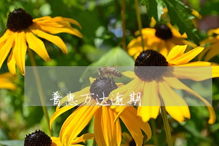 普惠万达逾期 普惠万达逾期