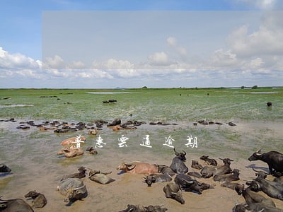 普惠云通逾期 普惠云通逾期