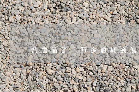 普惠借了一万多逾期会怎么样 普惠借了一万多逾期会怎么样