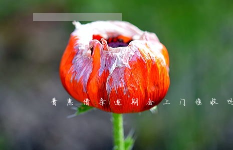 普惠借条逾期会上门催收吗 普惠借条逾期会上门催收吗