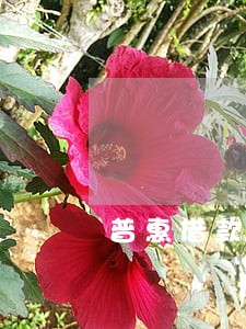 普惠借款3千逾期了 普惠借款3千逾期了