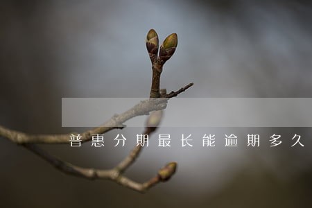 普惠分期最长能逾期多久 普惠分期最长能逾期多久