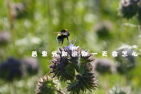 普惠分期逾期一天会怎么样