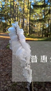 普惠分期逾期不还会怎么样 普惠分期逾期不还会怎么样