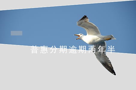 普惠分期逾期两年半 普惠分期逾期两年半