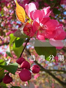 普惠分期逾期利息 普惠分期逾期利息