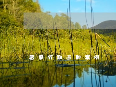 普惠分期逾期案例 普惠分期逾期案例