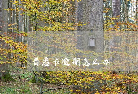 普惠卡逾期怎么办 普惠卡逾期怎么办