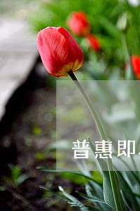 普惠即将逾期怎么办 普惠即将逾期怎么办