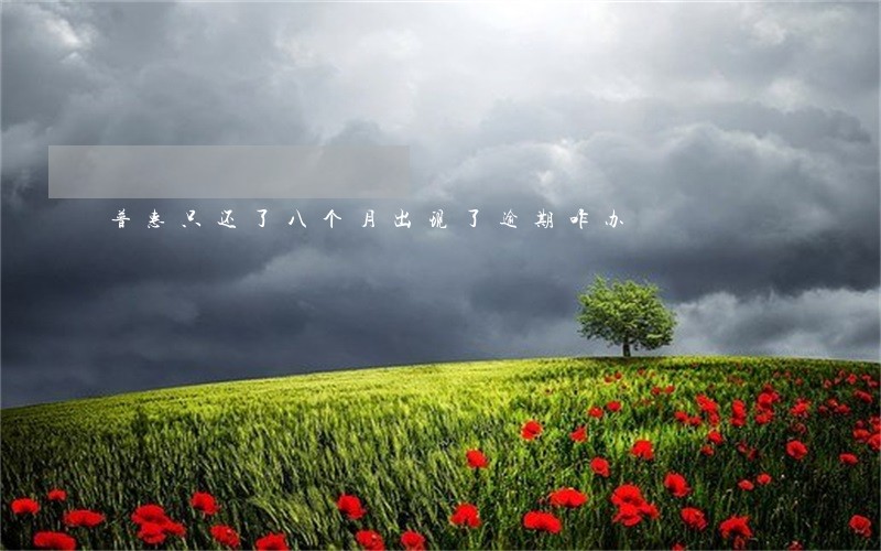 普惠只还了八个月出现了逾期咋办