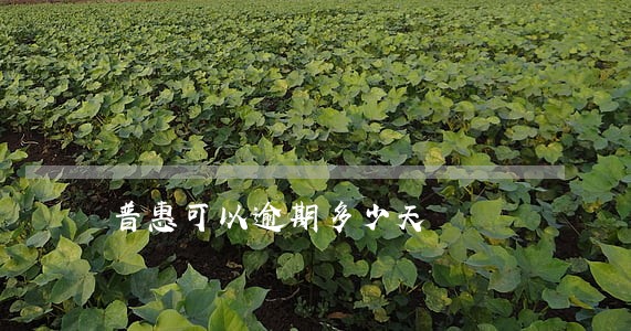 普惠可以逾期多少天 普惠可以逾期多少天