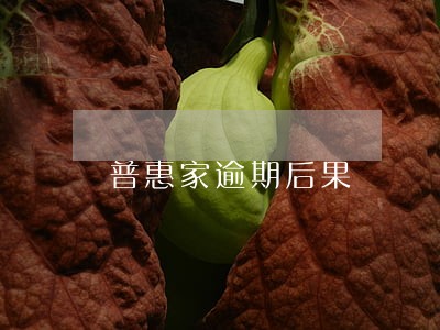 普惠家逾期后果 普惠家逾期后果