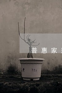 普惠家逾期率多少 普惠家逾期率多少