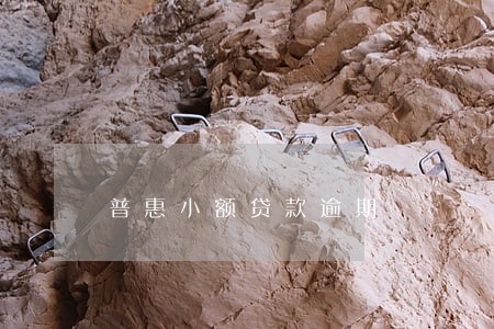 普惠小额贷款逾期 普惠小额贷款逾期