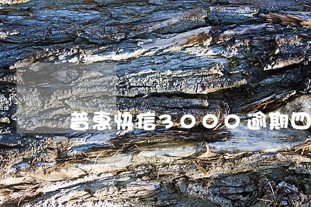 普惠快信3000逾期四年 普惠快信3000逾期四年