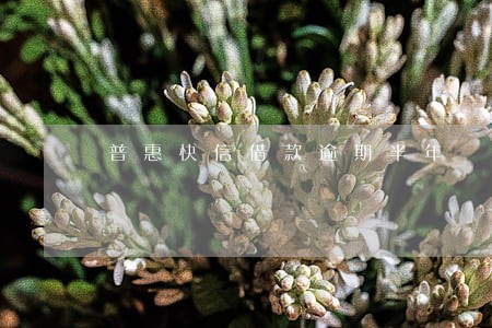 普惠快信借款逾期半年 普惠快信借款逾期半年