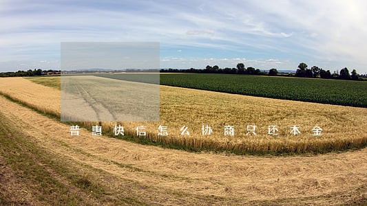 普惠快信怎么协商只还本金 普惠快信怎么协商只还本金
