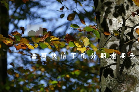 普惠快信手机分期逾期影响 普惠快信手机分期逾期影响