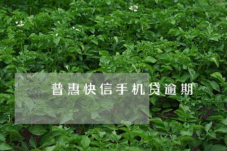 普惠快信手机贷逾期
