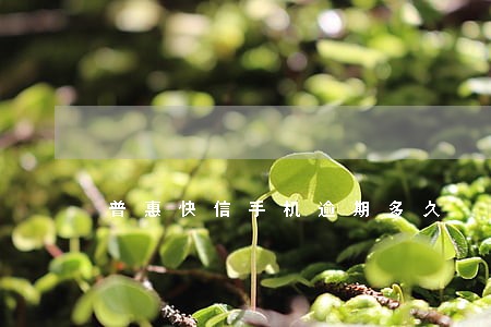 普惠快信手机逾期多久 普惠快信手机逾期多久