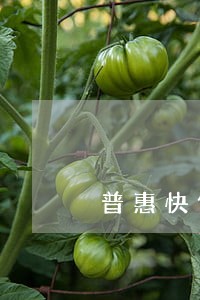 普惠快信现金贷逾期很久 普惠快信现金贷逾期很久