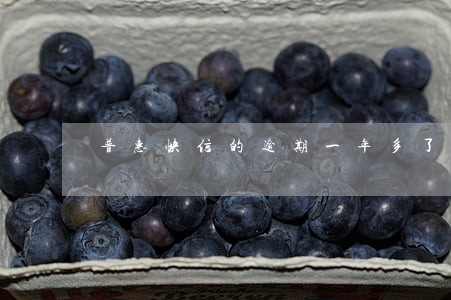 普惠快信的逾期一年多了 普惠快信的逾期一年多了