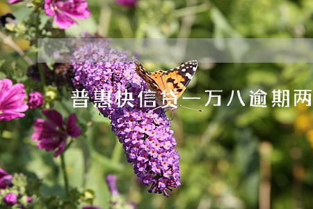 普惠快信贷一万八逾期两个月 普惠快信贷一万八逾期两个月
